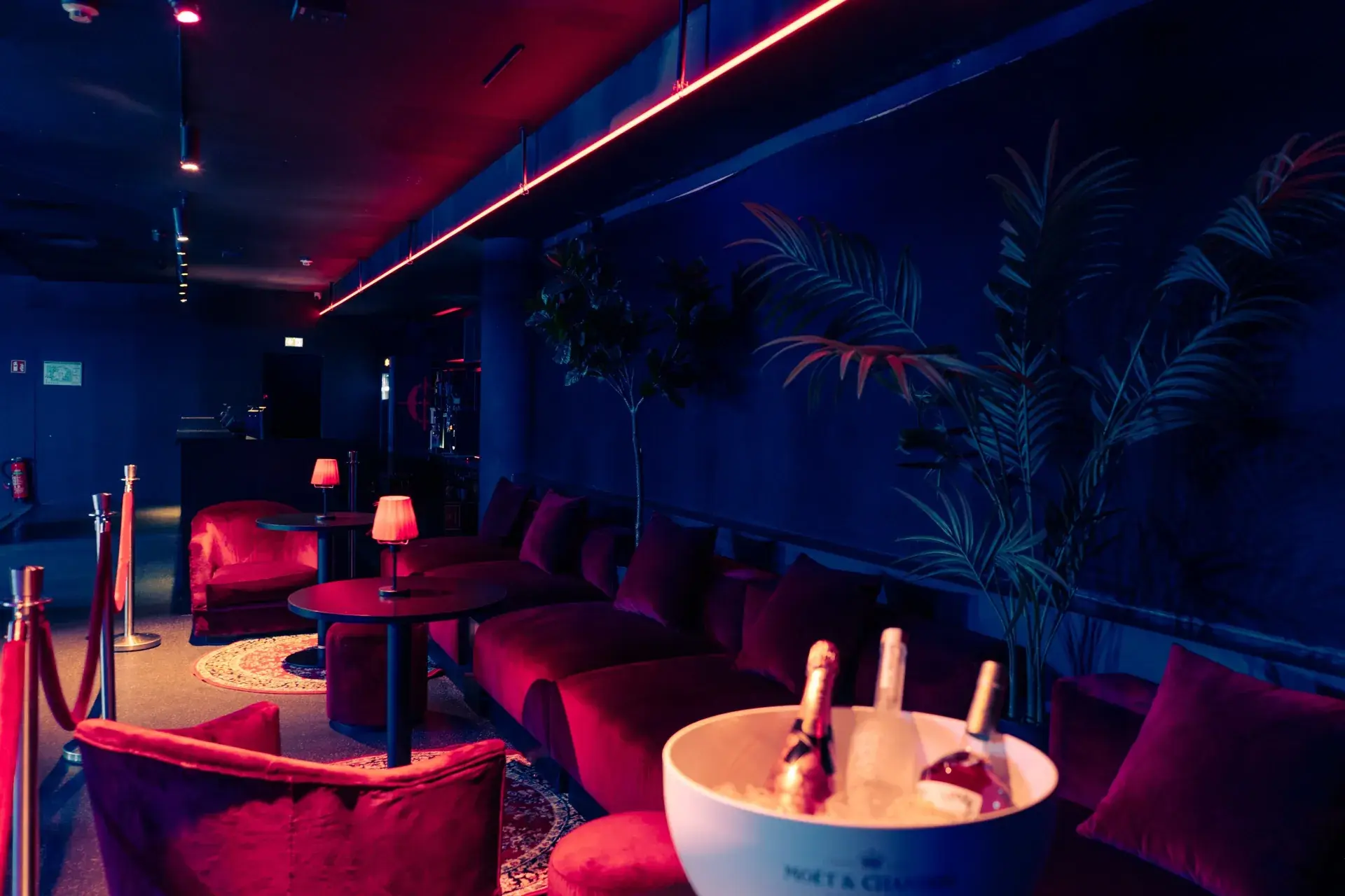VIP-Area — 5