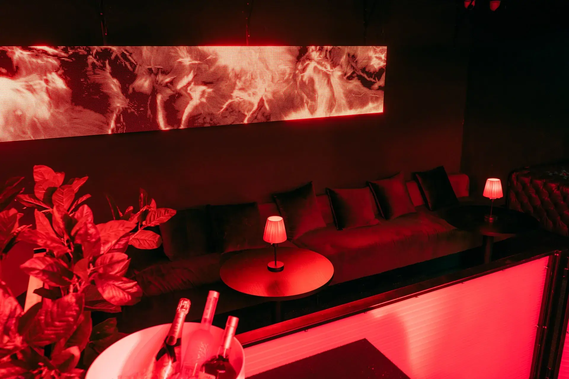 VIP-Area — 10